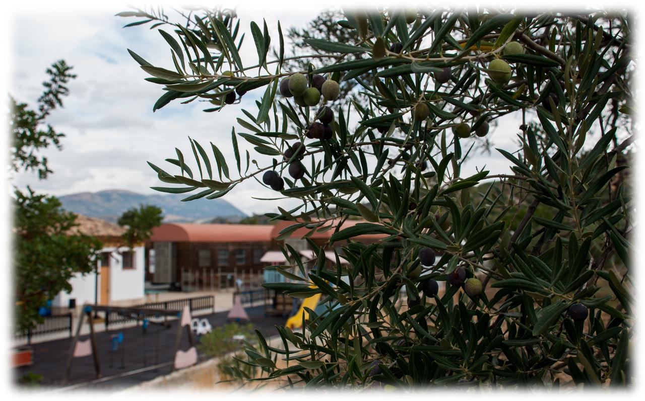 Hostal- Restaurante Estacion Via Verde Olvera Esterno foto